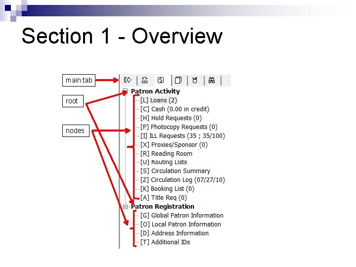 Section 1 - Overview main tab root nodes 