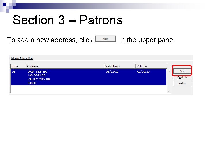 Section 3 – Patrons To add a new address, click in the upper pane.