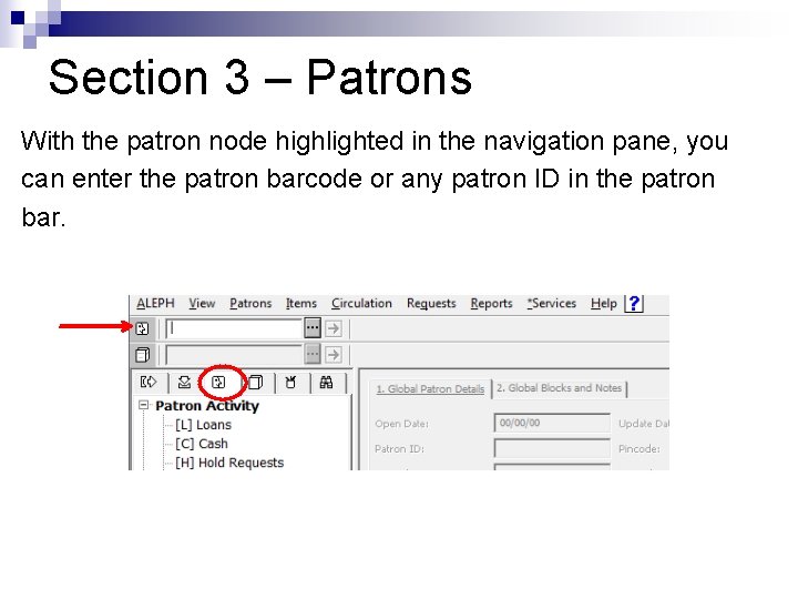 Section 3 – Patrons With the patron node highlighted in the navigation pane, you