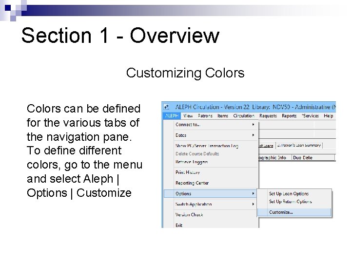 Section 1 - Overview Customizing Colors can be defined for the various tabs of