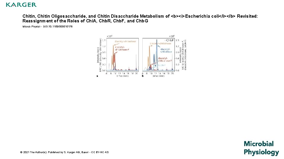 Chitin, Chitin Oligosaccharide, and Chitin Disaccharide Metabolism of <b><i>Escherichia coli</i></b> Revisited: Reassignment of the