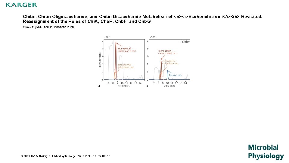 Chitin, Chitin Oligosaccharide, and Chitin Disaccharide Metabolism of <b><i>Escherichia coli</i></b> Revisited: Reassignment of the