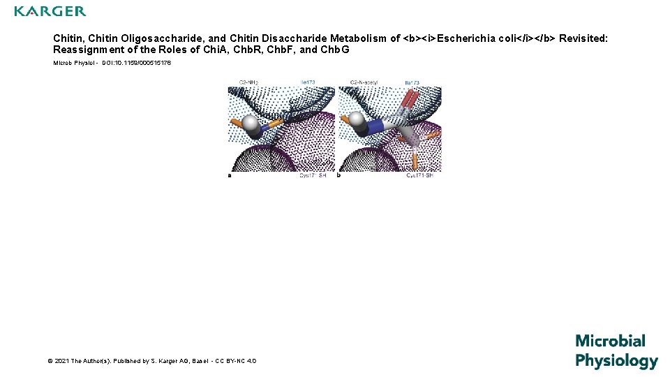 Chitin, Chitin Oligosaccharide, and Chitin Disaccharide Metabolism of <b><i>Escherichia coli</i></b> Revisited: Reassignment of the