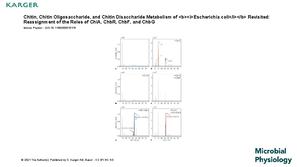 Chitin, Chitin Oligosaccharide, and Chitin Disaccharide Metabolism of <b><i>Escherichia coli</i></b> Revisited: Reassignment of the