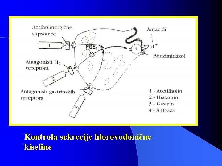 Kontrola sekrecije hlorovodonične kiseline 