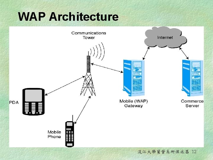 WAP Architecture 淡江大學資管系所侯永昌 12 