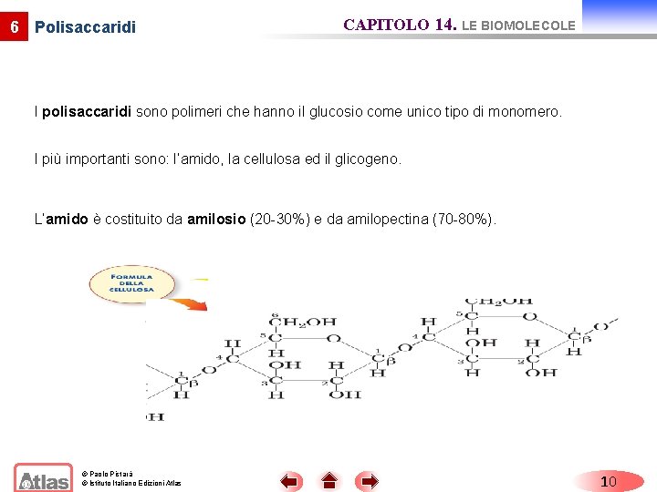 6 Polisaccaridi CAPITOLO 14. LE BIOMOLECOLE I polisaccaridi sono polimeri che hanno il glucosio