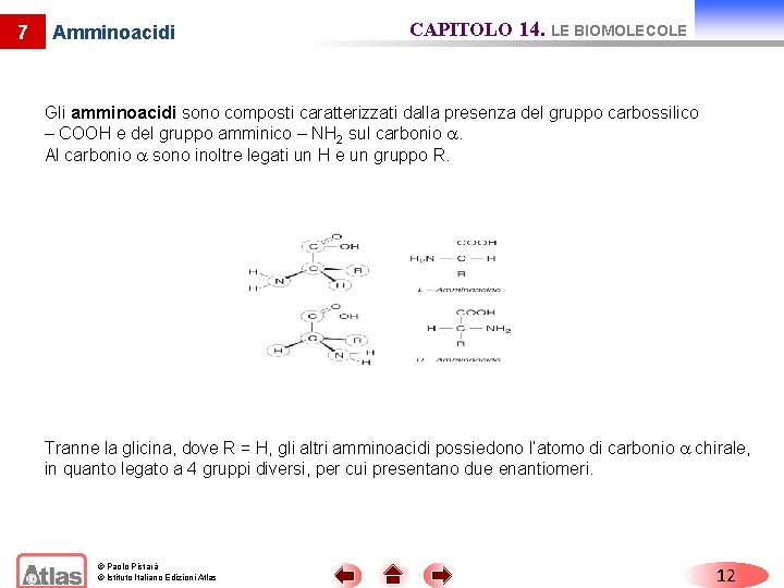 7 Amminoacidi CAPITOLO 14. LE BIOMOLECOLE Gli amminoacidi sono composti caratterizzati dalla presenza del