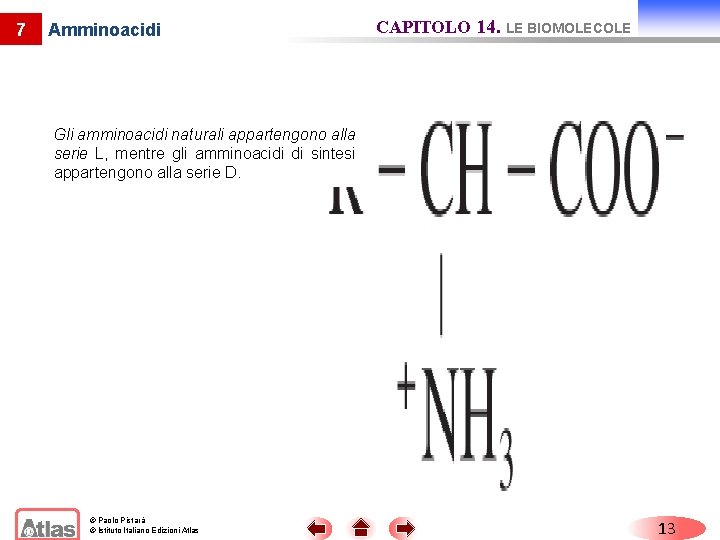 7 Amminoacidi CAPITOLO 14. LE BIOMOLECOLE Gli amminoacidi naturali appartengono alla serie L, mentre