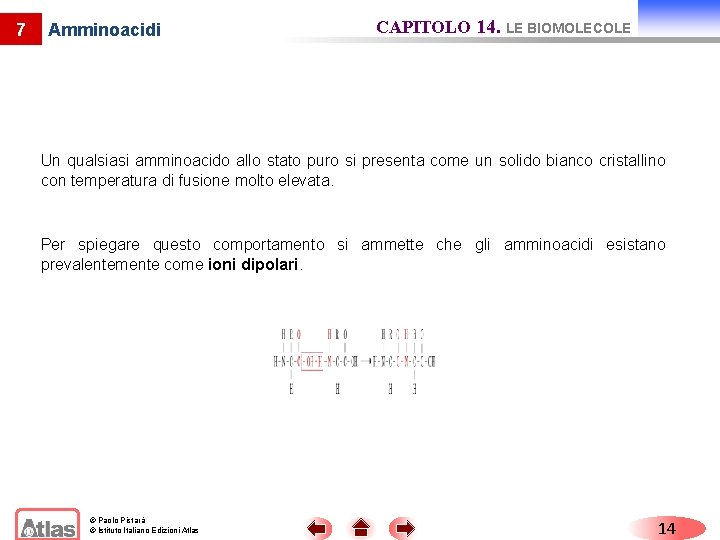 7 Amminoacidi CAPITOLO 14. LE BIOMOLECOLE Un qualsiasi amminoacido allo stato puro si presenta