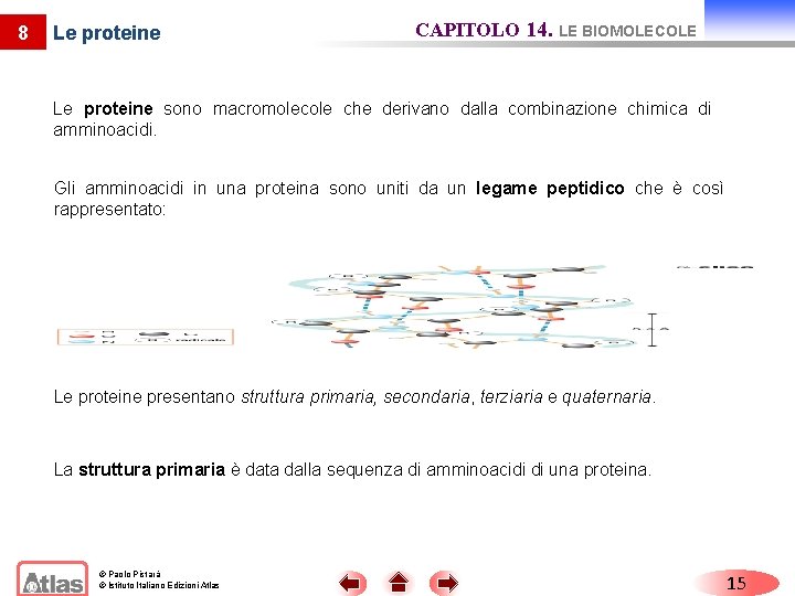 8 Le proteine CAPITOLO 14. LE BIOMOLECOLE Le proteine sono macromolecole che derivano dalla