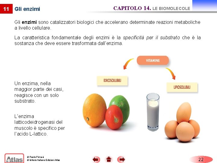 11 Gli enzimi CAPITOLO 14. LE BIOMOLECOLE Gli enzimi sono catalizzatori biologici che accelerano