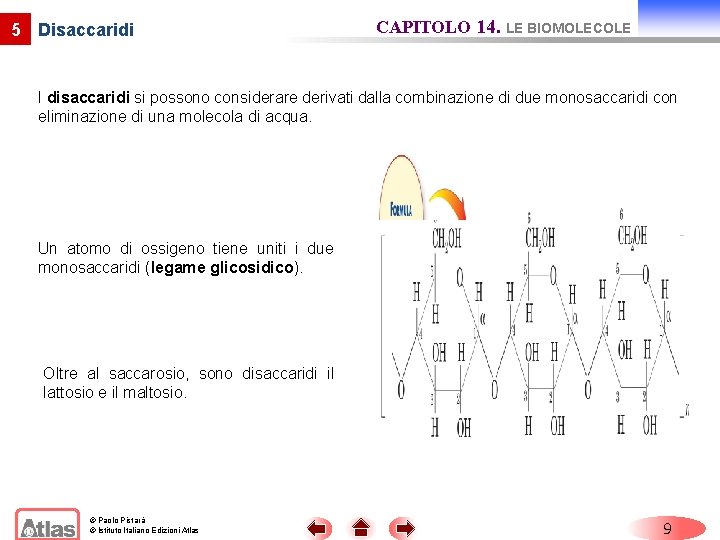 5 Disaccaridi CAPITOLO 14. LE BIOMOLECOLE I disaccaridi si possono considerare derivati dalla combinazione