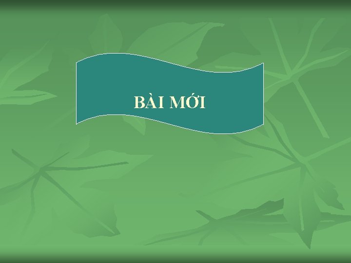 BÀI MỚI 