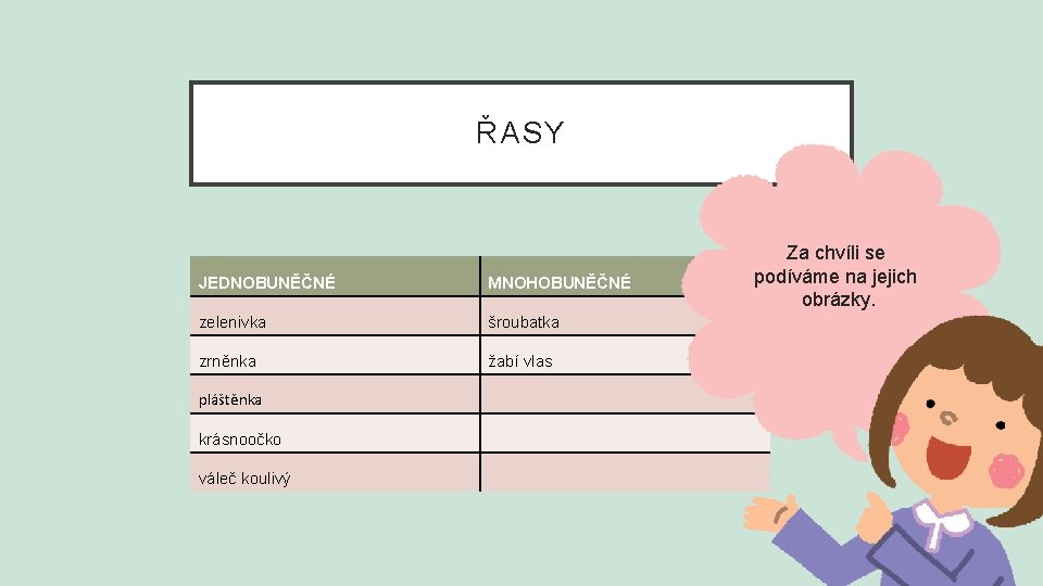 ŘASY JEDNOBUNĚČNÉ MNOHOBUNĚČNÉ zelenivka šroubatka zrněnka žabí vlas pláštěnka krásnoočko váleč koulivý Za chvíli