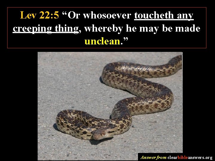 Lev 22: 5 “Or whosoever toucheth any creeping thing, whereby he may be made
