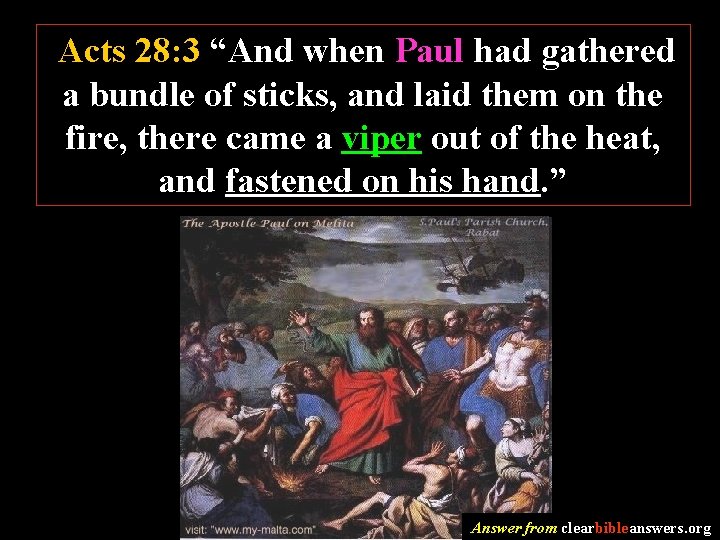 Acts 28: 3 “And when Paul had gathered a bundle of sticks, and laid