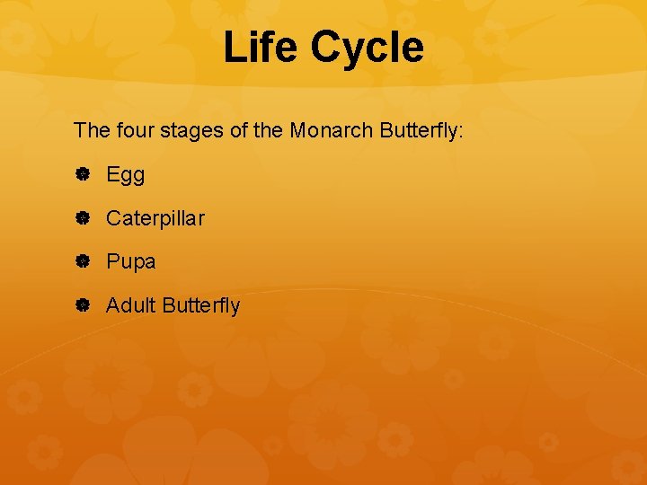 Life Cycle The four stages of the Monarch Butterfly: Egg Caterpillar Pupa Adult Butterfly