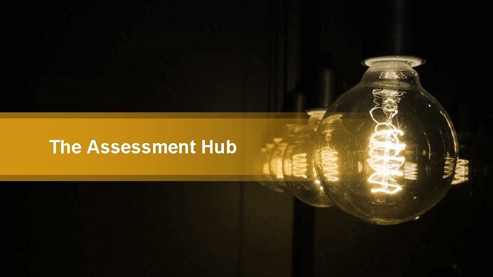 The Assessment Hub 