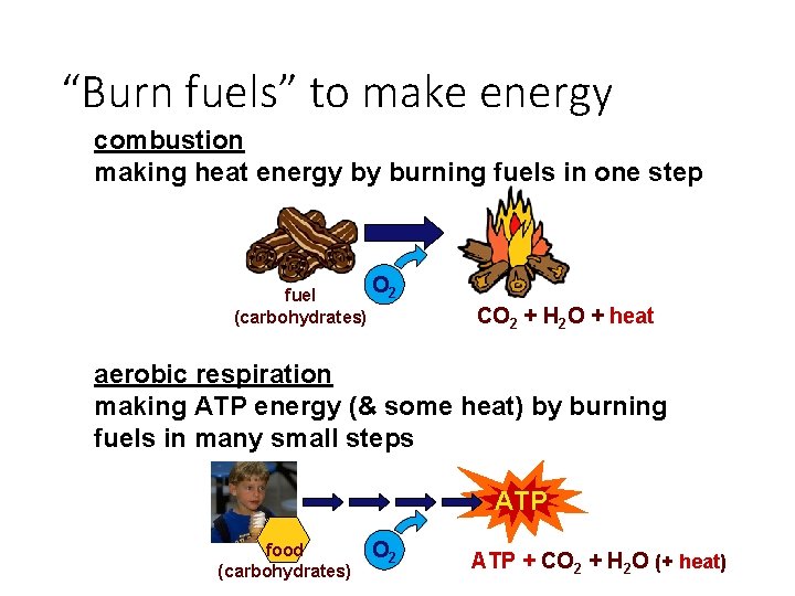 “Burn fuels” to make energy combustion making heat energy by burning fuels in one