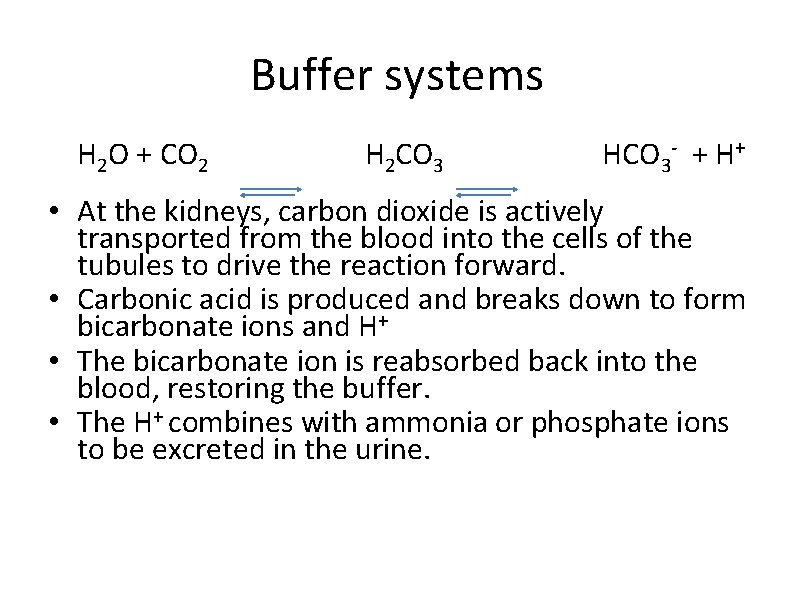 Buffer systems H 2 O + CO 2 H 2 CO 3 HCO 3