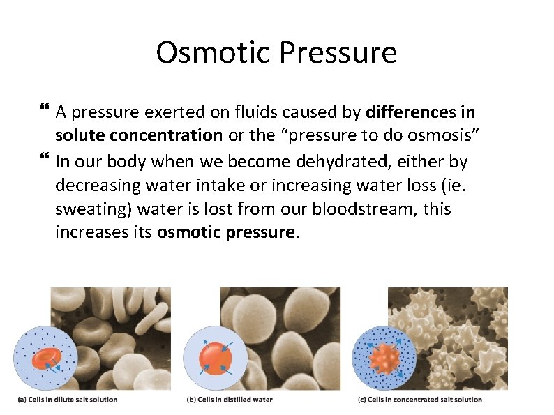 Osmotic Pressure A pressure exerted on fluids caused by differences in solute concentration or