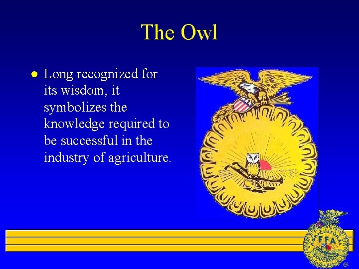 The Owl l Long recognized for its wisdom, it symbolizes the knowledge required to