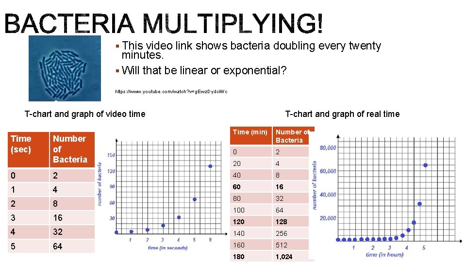 § This video link shows bacteria doubling every twenty minutes. § Will that be