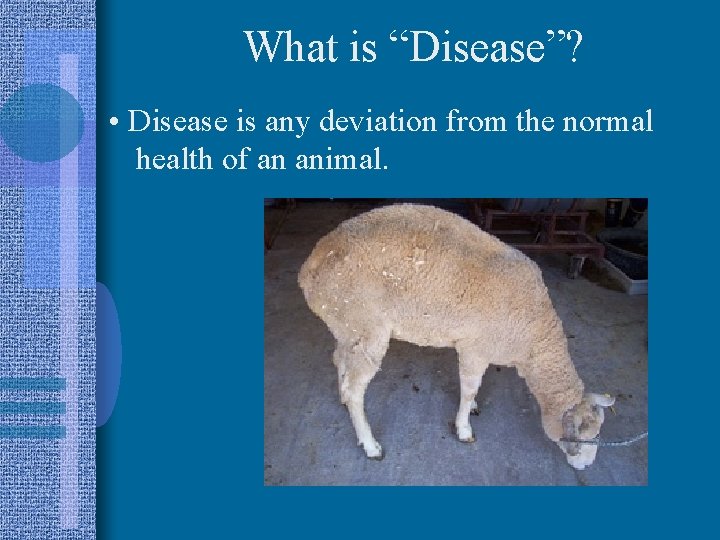 What is “Disease”? • Disease is any deviation from the normal health of an