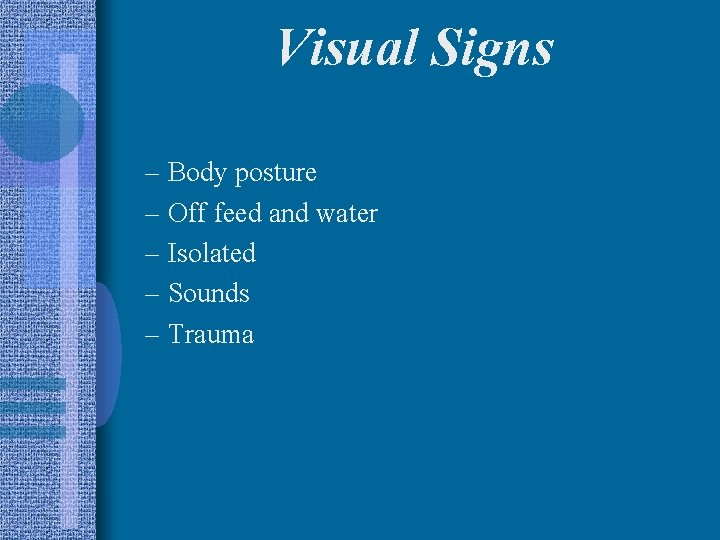 Visual Signs – Body posture – Off feed and water – Isolated – Sounds