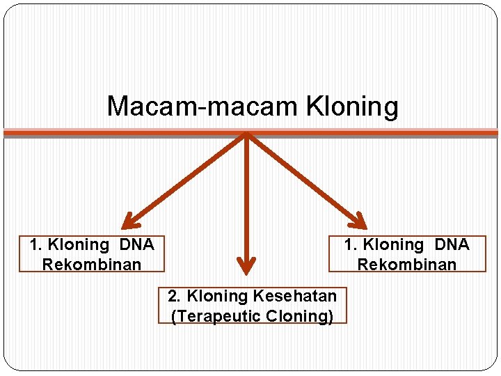 Macam-macam Kloning 1. Kloning DNA Rekombinan 2. Kloning Kesehatan (Terapeutic Cloning) 
