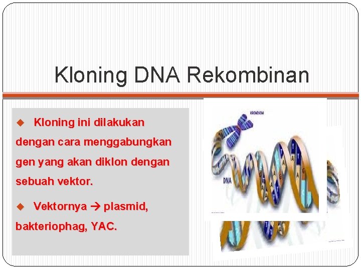 Kloning DNA Rekombinan Kloning ini dilakukan dengan cara menggabungkan gen yang akan diklon dengan