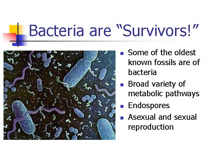 Bacteria are “Survivors!” n n Some of the oldest known fossils are of bacteria