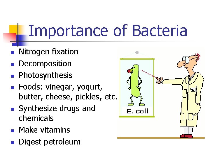 Importance of Bacteria n n n n Nitrogen fixation Decomposition Photosynthesis Foods: vinegar, yogurt,