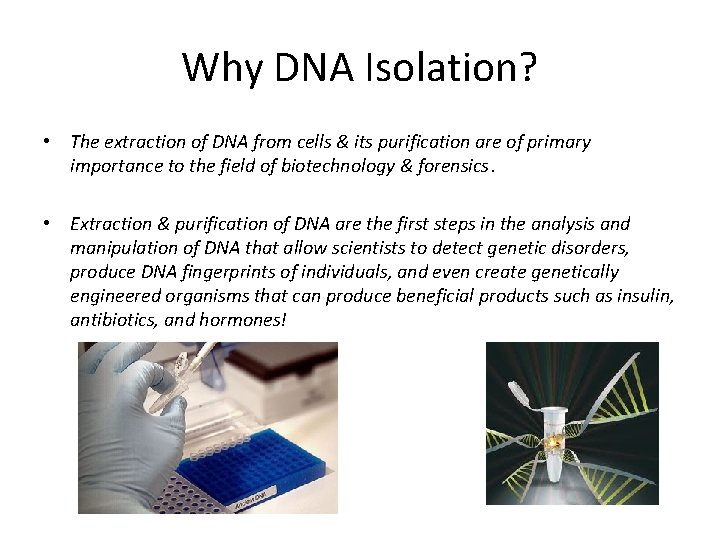 Why DNA Isolation? • The extraction of DNA from cells & its purification are
