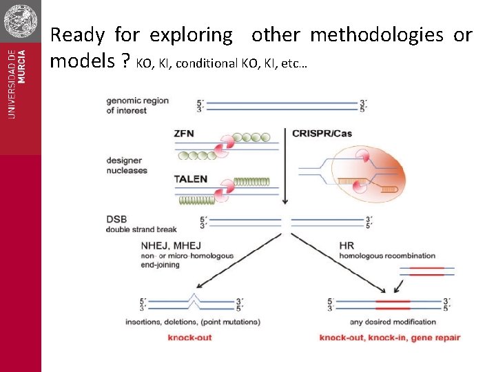 Ready for exploring other methodologies or models ? KO, KI, conditional KO, KI, etc…
