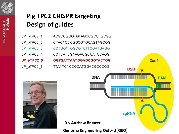 Pig TPC 2 CRISPR targeting Design of guides JP_p. TPC 2_1 ACGCCGGGTGTAGCCGCCTGCGG JP_p. TPC