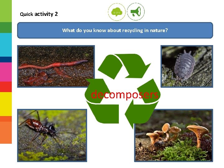 Quick activity 2 What do you know about recycling in nature? decomposers 