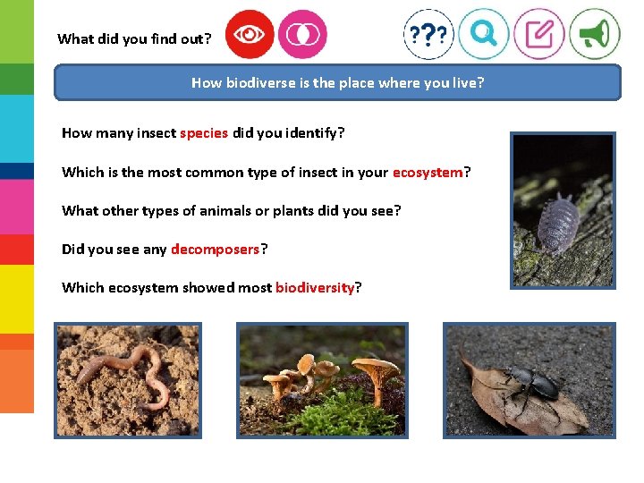 What did you find out? How biodiverse is the place where you live? How