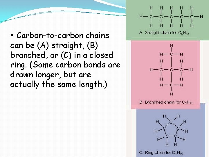 § Carbon-to-carbon chains can be (A) straight, (B) branched, or (C) in a closed