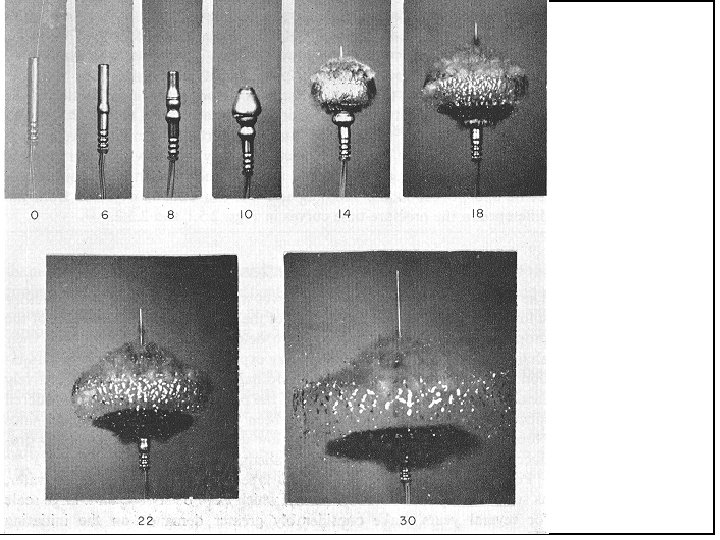 Time in microseconds after the connection of current to the detonator 