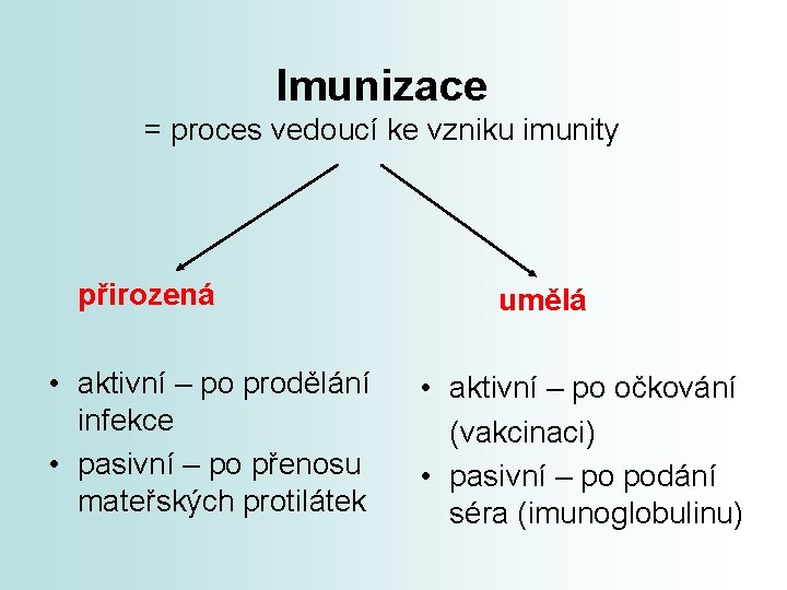 Imunizace = proces vedoucí ke vzniku imunity přirozená • aktivní – po prodělání infekce