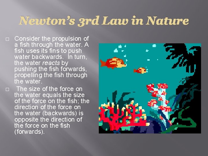 Newton’s 3 rd Law in Nature � � Consider the propulsion of a fish