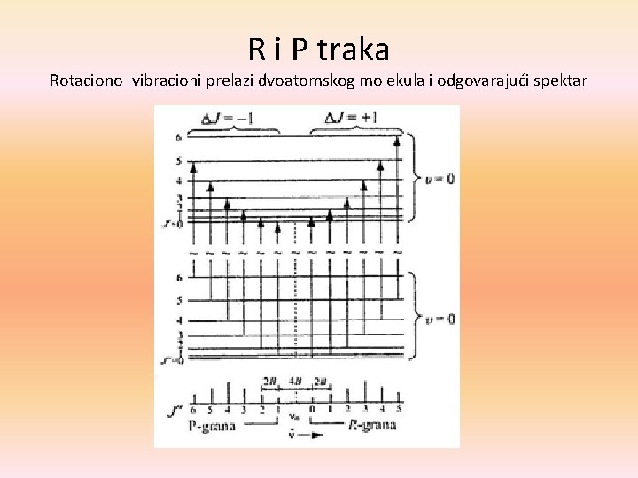 R i P traka Rotaciono–vibracioni prelazi dvoatomskog molekula i odgovarajući spektar 