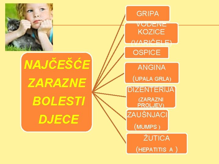 GRIPA VODENE KOZICE (VARIČELE) OSPICE NAJČEŠĆE ZARAZNE BOLESTI DJECE ANGINA (UPALA GRLA) DIZENTERIJA (ZARAZNI