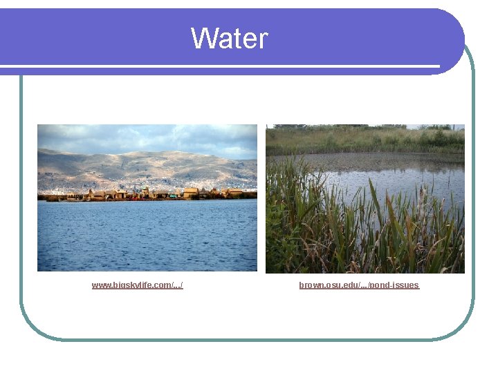 Water www. bigskylife. com/. . . / brown. osu. edu/. . . /pond-issues 