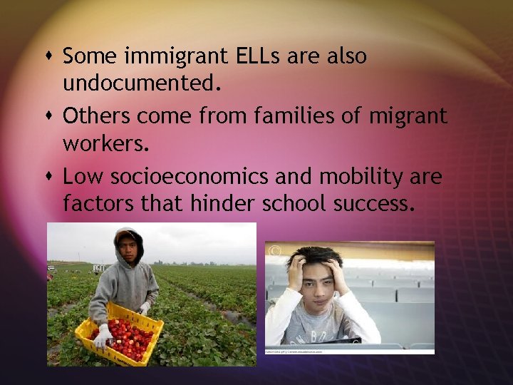 s Some immigrant ELLs are also undocumented. s Others come from families of migrant