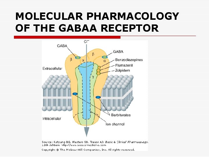 MOLECULAR PHARMACOLOGY OF THE GABAA RECEPTOR 