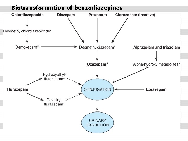 Biotransformation of benzodiazepines 