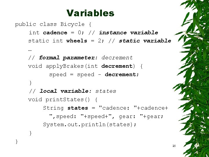 Variables public class Bicycle { int cadence = 0; // instance variable static int Variables public class Bicycle { int cadence = 0; // instance variable static int